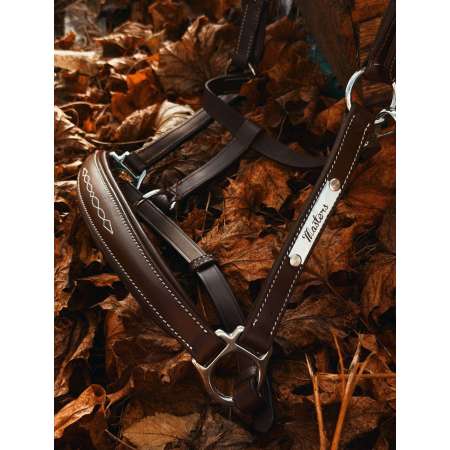 Anatomical Leather Halter – Masters