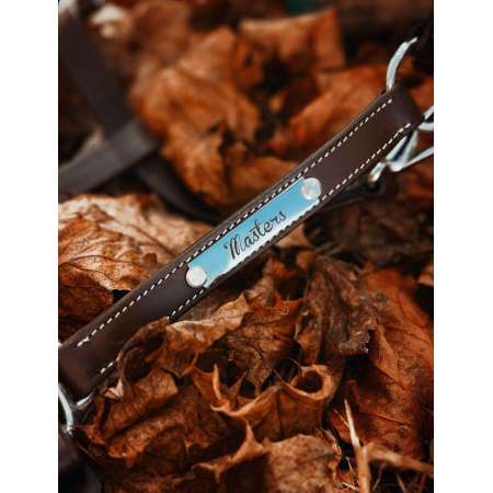 Anatomisch Lederen Halster – Masters