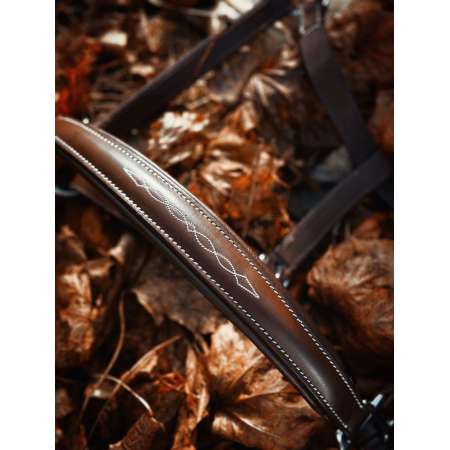 Licol Cuir Anatomique Masters