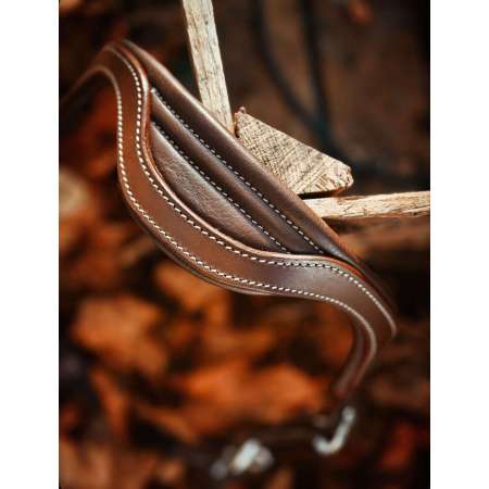 Licol Cuir Anatomique Masters