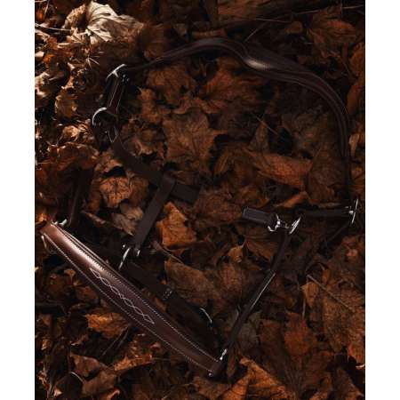 Anatomical Leather Halter – Masters