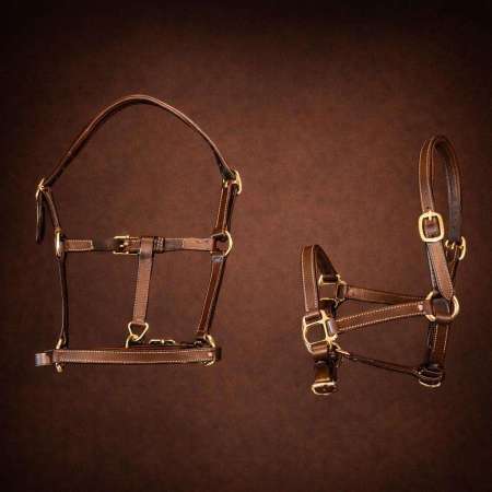 Leather Foal Halter – Equipro