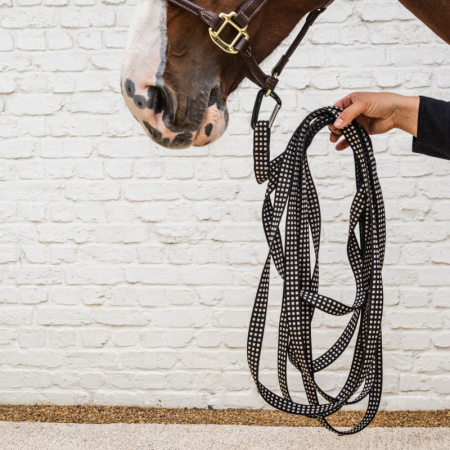 Lunging Line 8 m – Kentucky