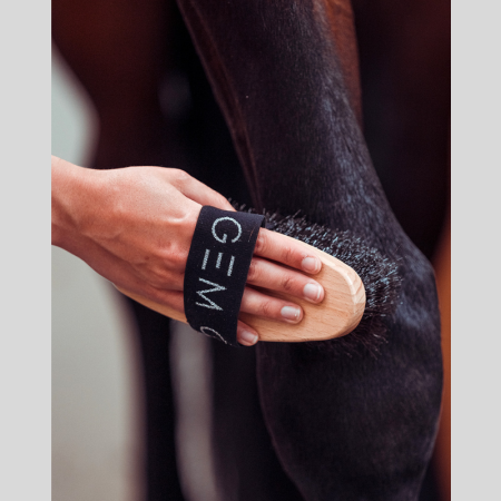 Harde Borstel GEM Equitation