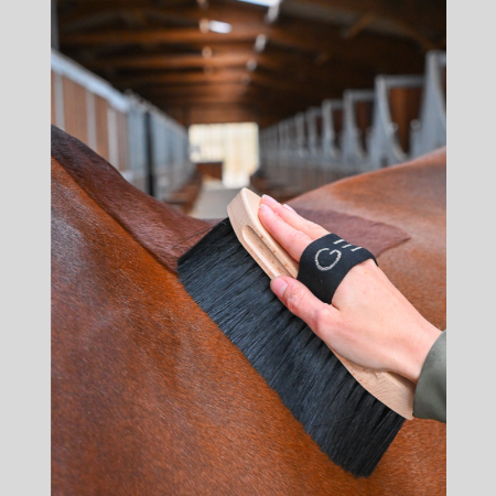 Brosse Poils Longs GEM Equitation