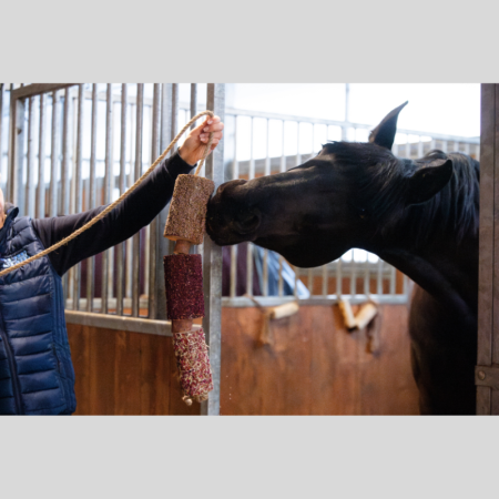 Jeu en Bois Full Love