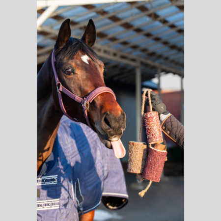 Herbal wooden chew toy Full Love