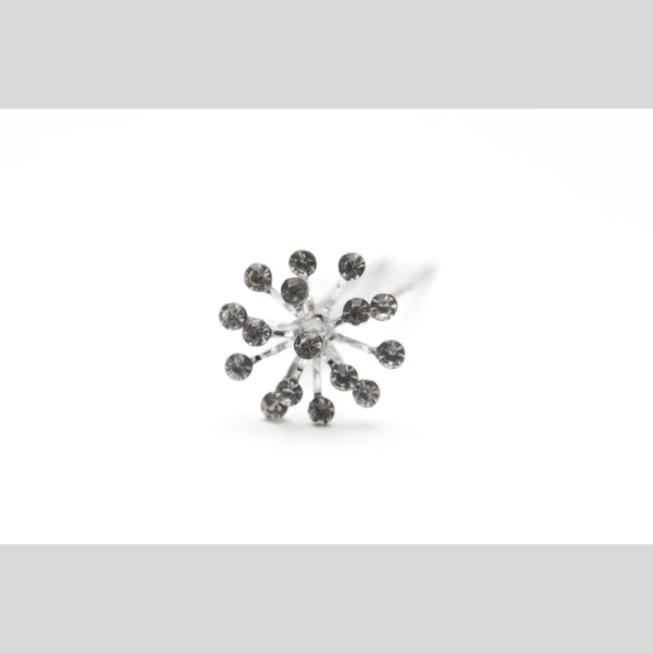 Crystal Sparkle Pin Hair
