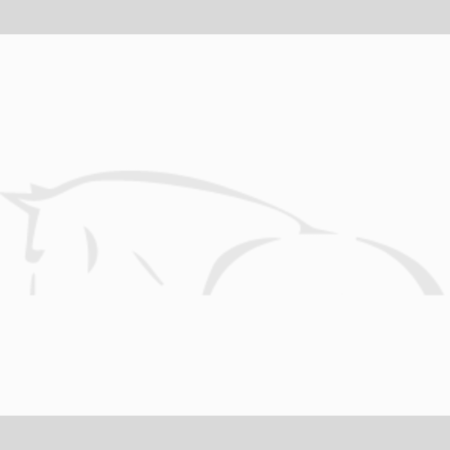 Trui Violette – Pénélope