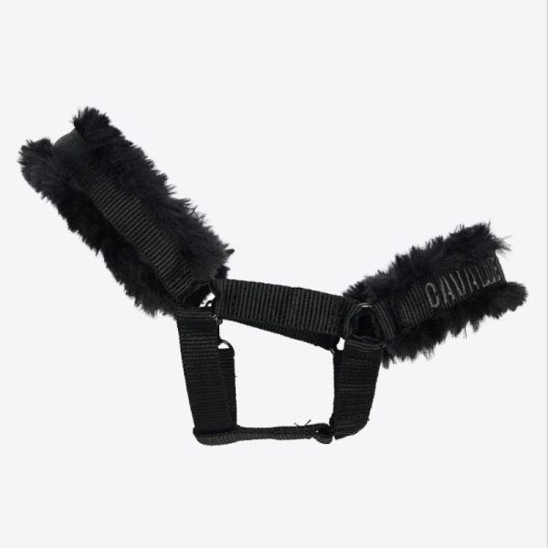 Halster CT Hobby Horse