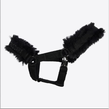 Halster CT Hobby Horse