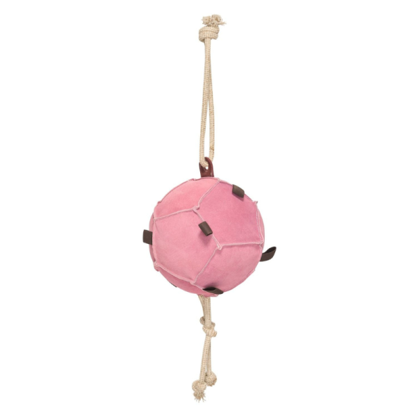 HVPVolley horse ball