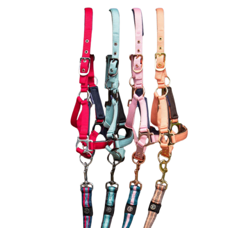 Foal Halter Metal