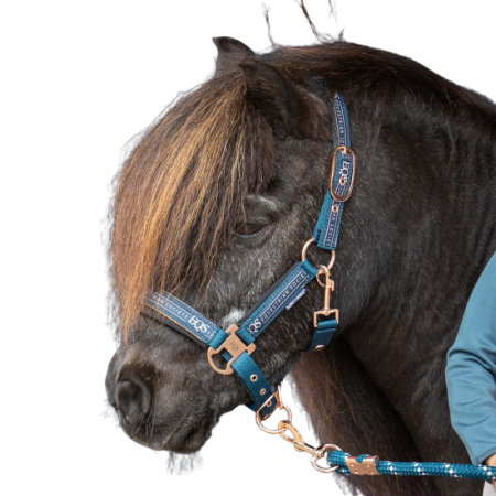Equestrian Society Halter Set