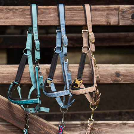 Licol & Longe Crystal