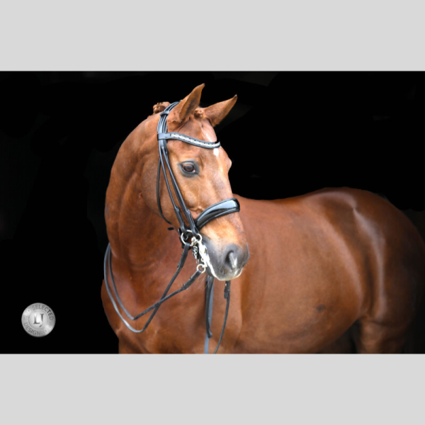 SORAYA bride en cuir rond