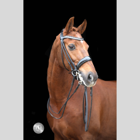 SORAYA bride en cuir rond