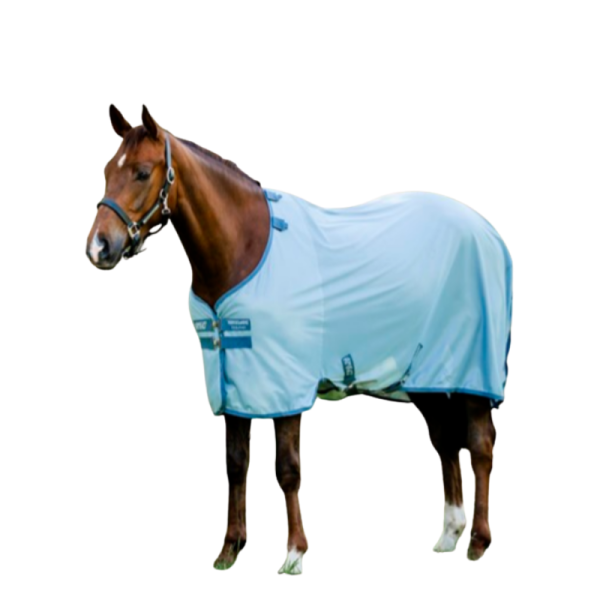 Amigo Bug Rug Heather