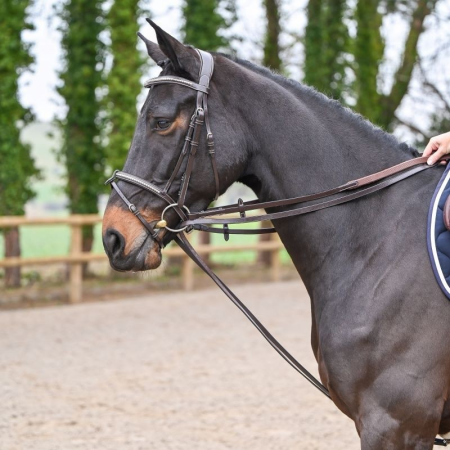 Leather Draw Reins Week Collection