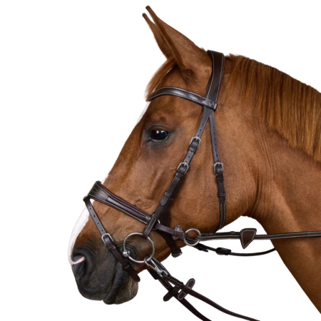 Working Motion Bridle