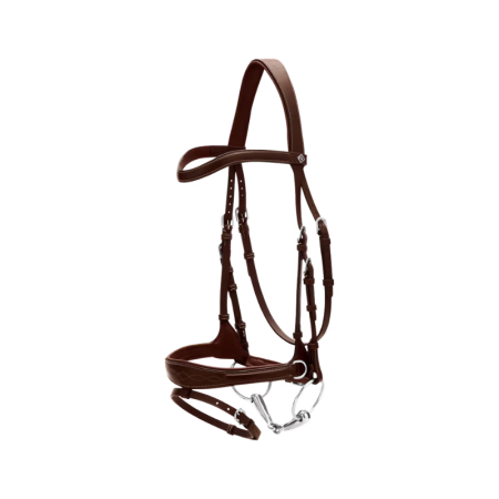 Working Motion Bridle