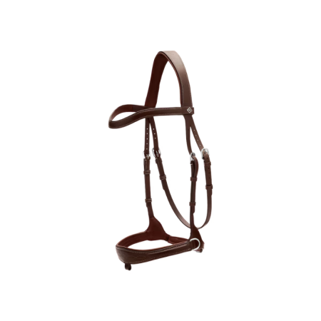 Working Motion Bridle