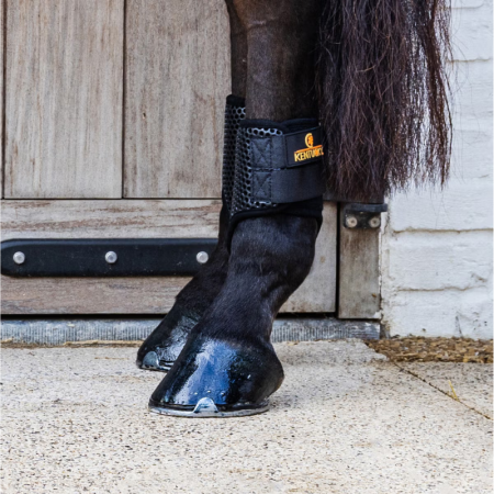 Turnout Boots ProAir Kort