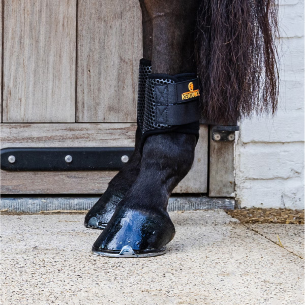 Turnout Boots ProAir Kort