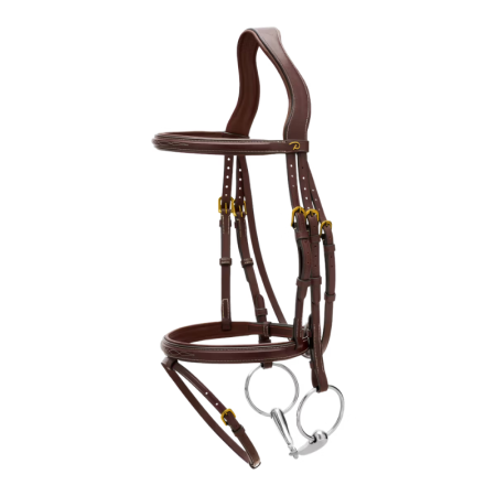 Flash Noseband Bridle DY