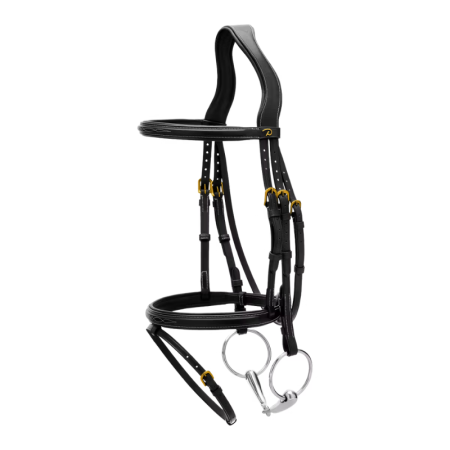 Flash Noseband Bridle DY