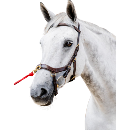 Micklem 2 Multi Bridle