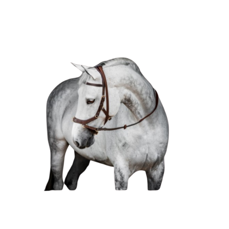 Micklem 2 Multi Bridle