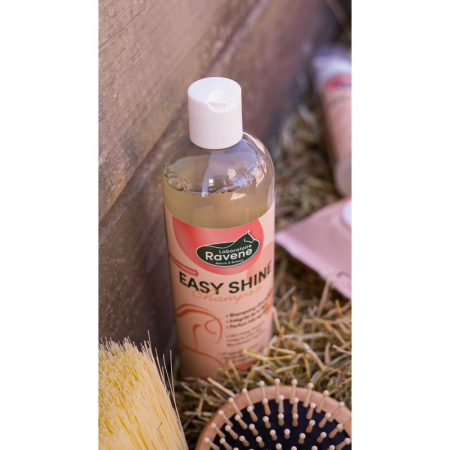Easy Shine Shampoo by RAVENE