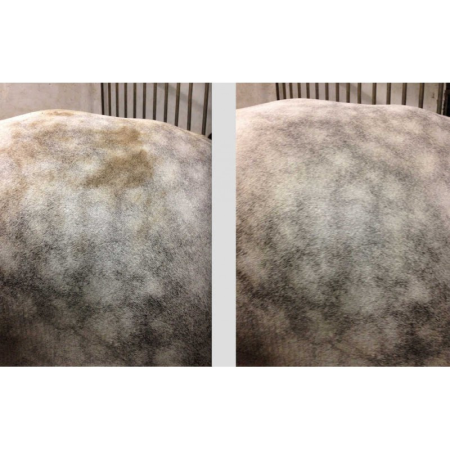 Easy Shine Foam by RAVENE