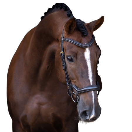 Imperial Riding IRH hoofdstel met ergonomische gecombineerde neusriem
