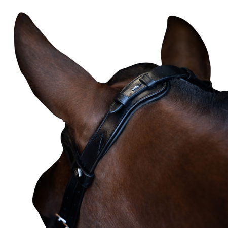 Imperial Riding IRH hoofdstel met ergonomische gecombineerde neusriem