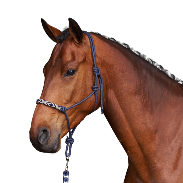 HVPLamu headcollar