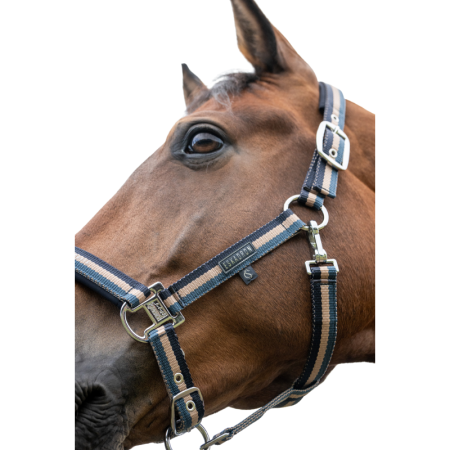 Licol Double Pin Classic Sports