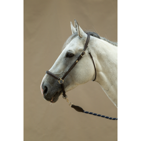 Grooming Head Collar Working By Dyon