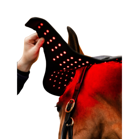 Horseware Led Red Light Therapy Poll Cap