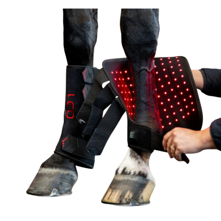 HORSEWARE Led Red Light Therapy Left Leg Wrap