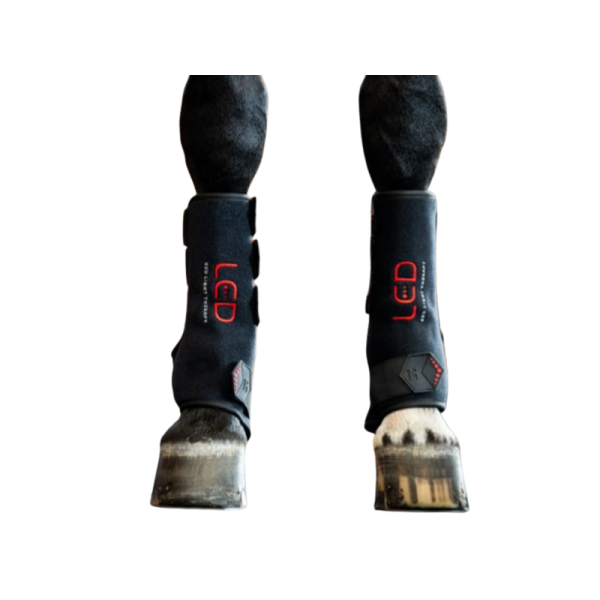 HORSEWARE Led Red Light Therapy Right Leg Wrap
