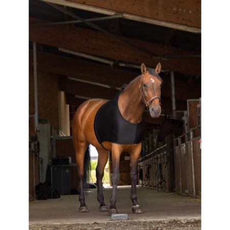 EQUITHÈME Shoulder Protection