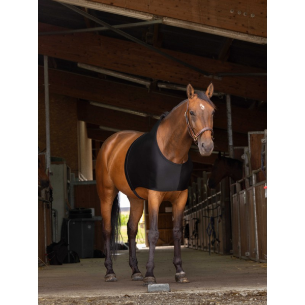 EQUITHÈME Shoulder Protection