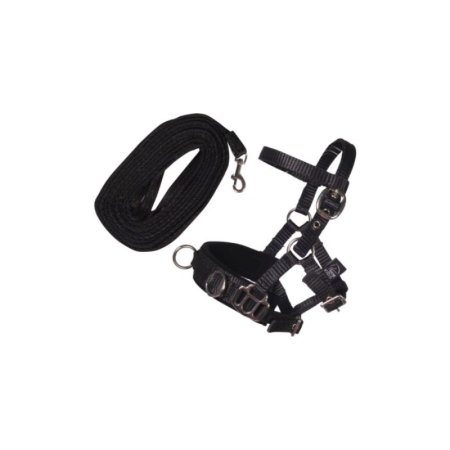 Longeerset – Hobby Horsing