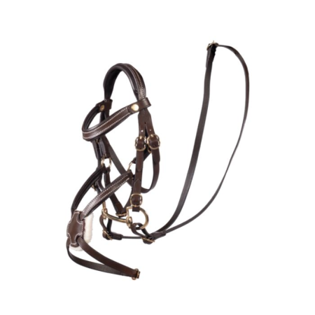 Bridon mexicain -Hobby Horsing