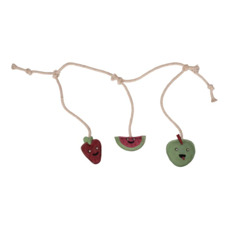 Speelgoed voor paarden – Fruit