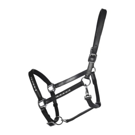 Leather Head Collar – Sparkle