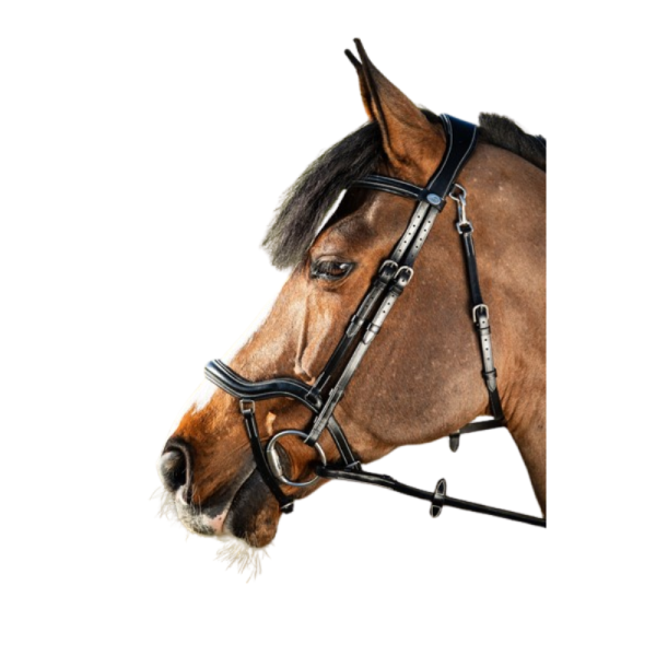 Techno Bridle