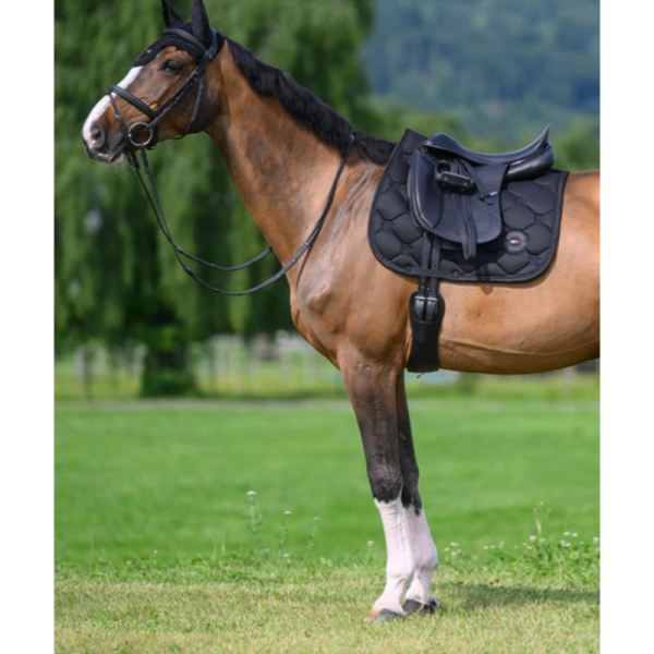 Tapis de selle Dressage Emory